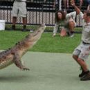 Steve Irwin's ZOO. Hranjenje krokodilow....suuuperrrr :))