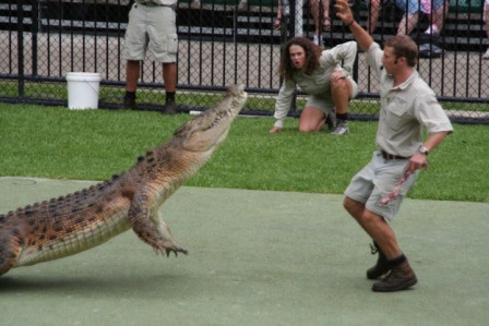 Steve Irwin's ZOO. Hranjenje krokodilow....suuuperrrr :))