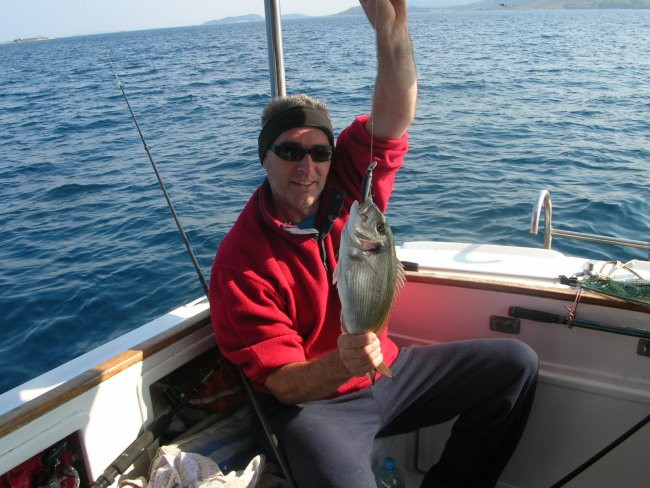 Orada - foto povečava