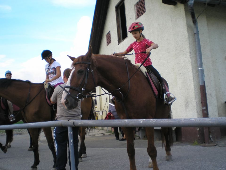 Razstava 2010 - foto povečava