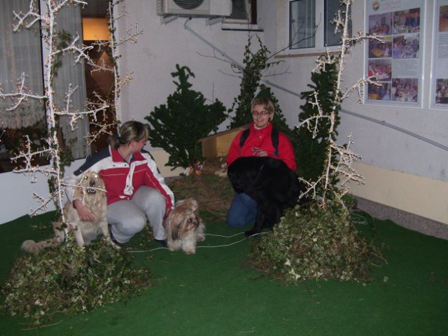 06.12.2007
jaslice pred domom Trbovlje