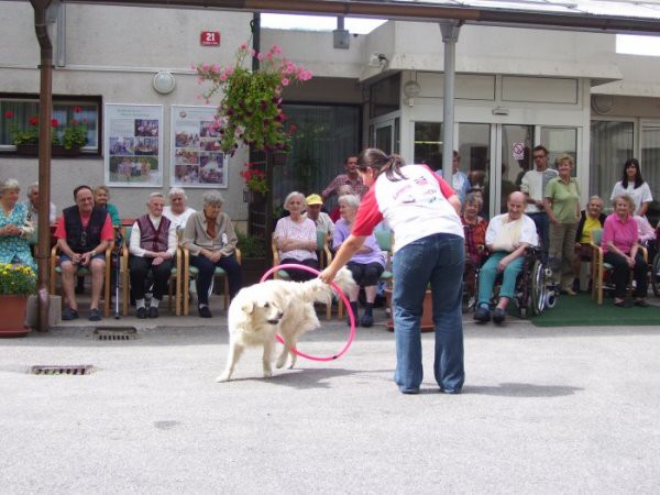 05.07.2007
zlata prinašalka Ajka