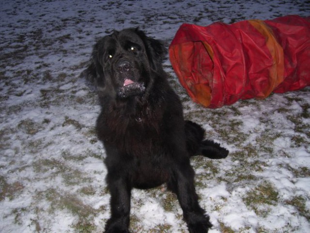 20.12.2007
malo treninga res ne škodi