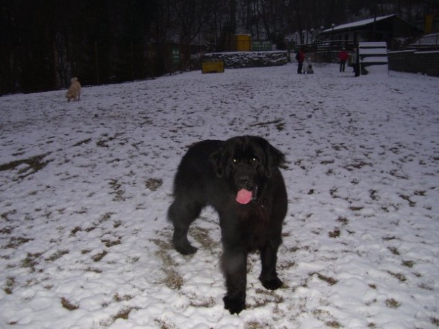 20.12.2007