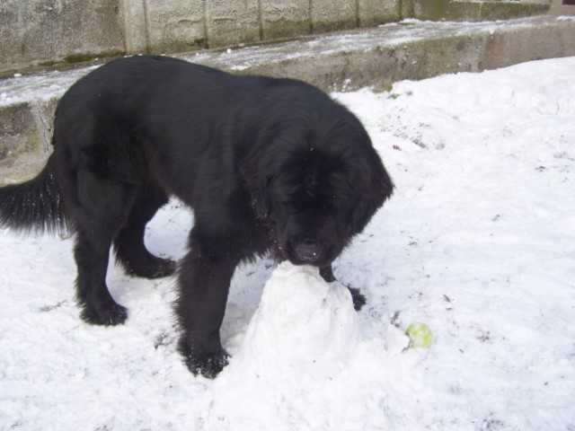 26.12.2007
podrla bom kupček snega