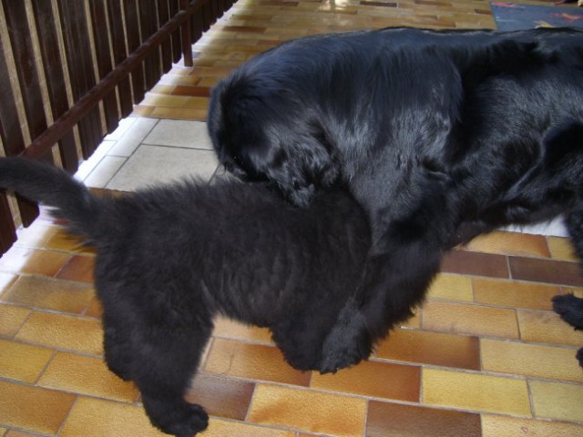 09.05.2008