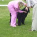 25.05.2008 Cacib Varaždin
pregled zobovja
