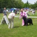 25.05.2008 Cacib Varaždin
gledam te, gledam
