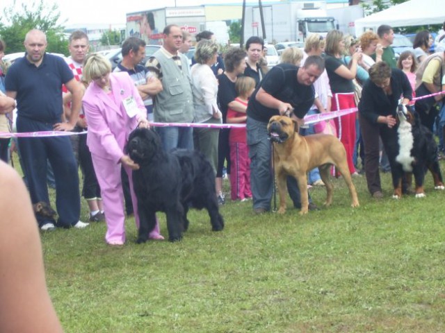 08.06.2008 CAC KOPRIVNICA
BIS FCI II 
hrvaški sodnik Bojan Matakovič