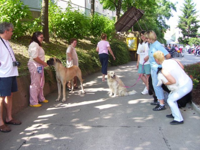 03.07.2008
dom starejših občanov Trbovlje