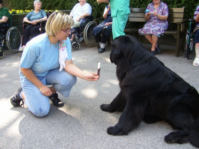 03.07.2008
ližem lučko