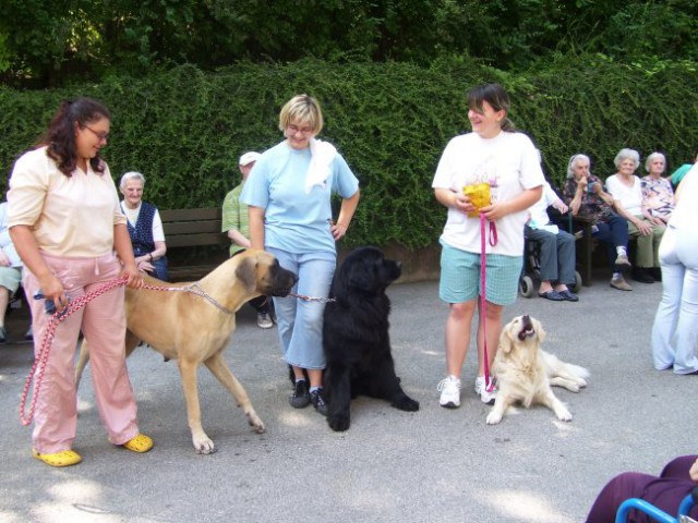 03.07.2008
še ena skupinska- zaključek obiska