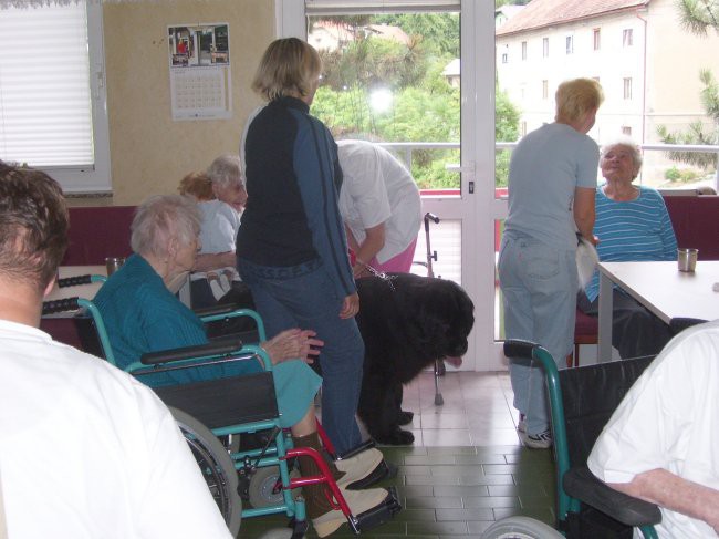 24.07.2008
dom starejših občanov Trbovlje