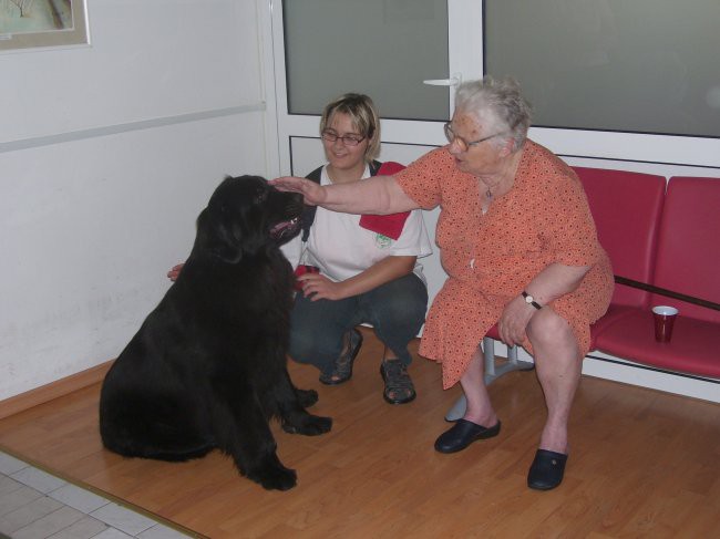 07.08.2008
dom starejših občanov Trbovlje