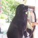 28.08.2008
no, zdaj se omo pa sušili