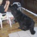 09.09.2008
jaz bi še ....