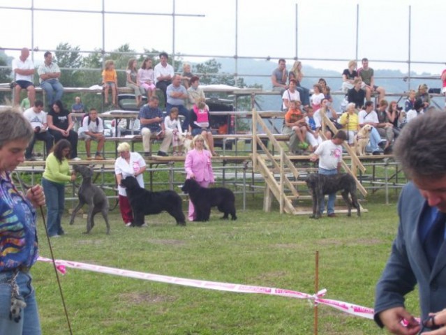 30.08.2008
CAC ZASAVJE
najlepši pes Zasavja
hrvaški sodnik TINO PEHAR