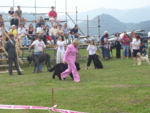 30.08.2008
CAC ZASAVJE
najlepši pes Zasavja