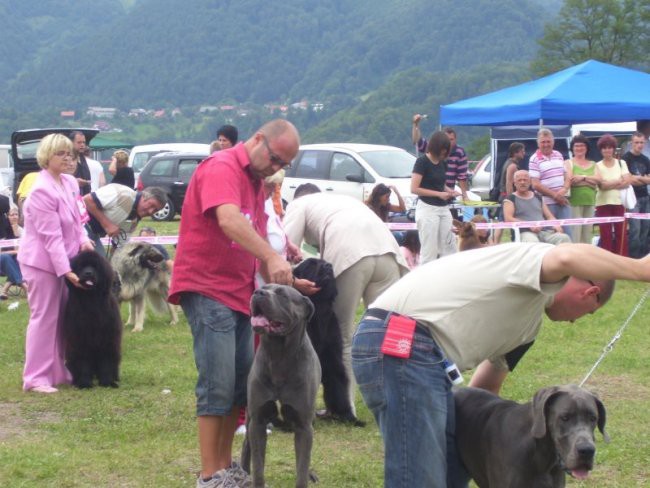 31.08.2008
CAC TRBOVLJE
najlepši pes Zasavja