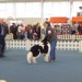 20.04.2008
cacib celje