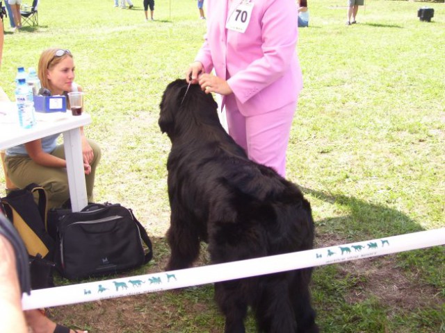 26.08.2007
CAC TRBOVLJE
prihod pred sodnico Lidijo Okleščen