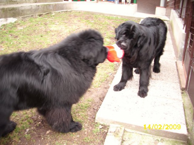 14.02.2009
pusti Carlos, saj imaš svojega