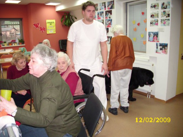 12.02.2009
oddelek demence