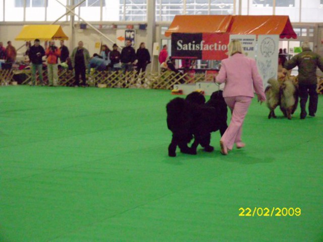 CAC CELJE, 22.02.2009
tečemo prvi krog