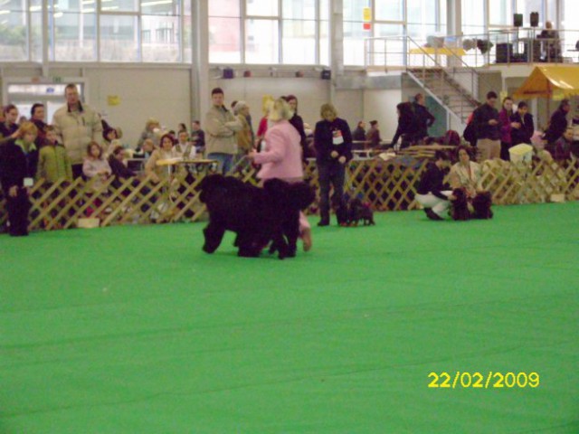 CAC CELJE, 22.02.2009
se vračamo na prvotno mesto