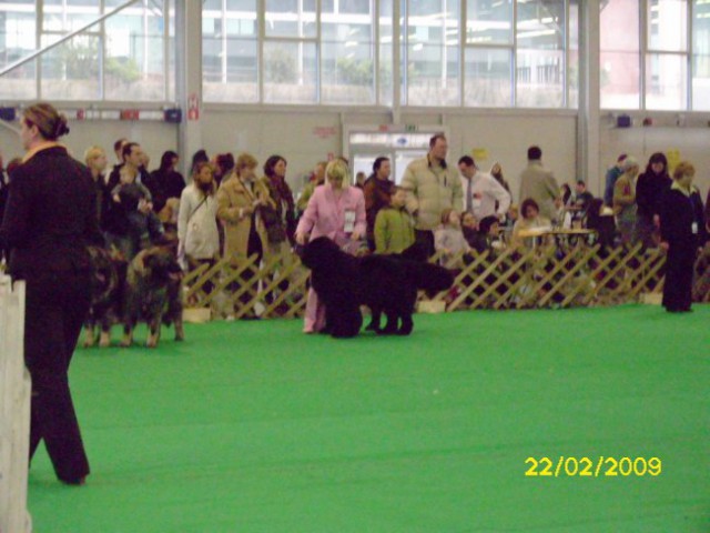 CAC CELJE, 22.02.2009
čakamo,  kako se bo odločila slovenska sodnica Lidija Okleščen