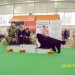 CAC CELJE, 22.02.2009
stojimo na stopnički