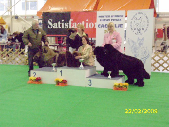 CAC CELJE, 22.02.2009
tretje mesto prejmeta para novofudlandec Sona in Carlos