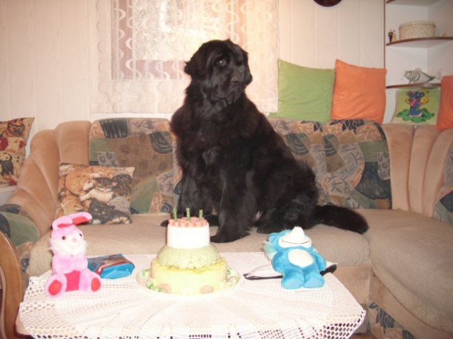 20.03.2009
Sona praznuje 3. rojstni dan