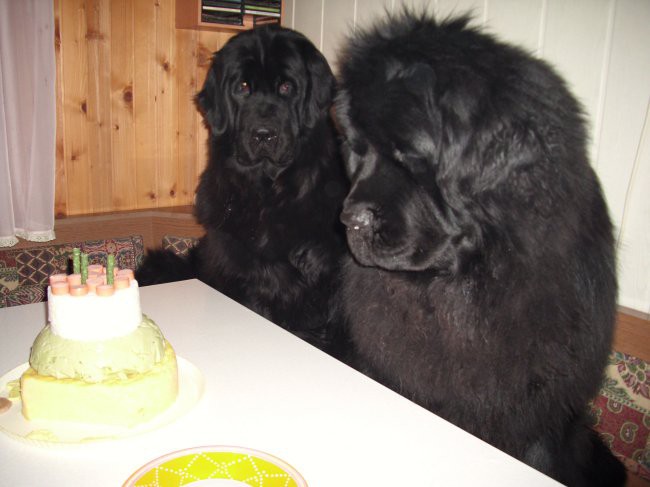 20.03.20009
potrplenje.......