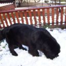 20.03.2007
moj prvi rojstni dan, zapadlo je kar nekaj snega