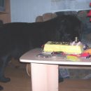 20.03.2007
na tej vazi je pa moj portret, vendar se slabše vidi