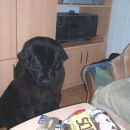 20.03.2007
o, tudi kostke sem dobila