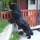 14.04.2007
kaj se dogaja zadaj???