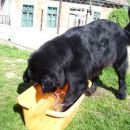 15.04.2007
no ja, vsaj ledena ni