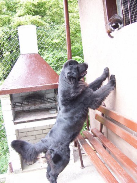 27.06.2007
Sona in Tara