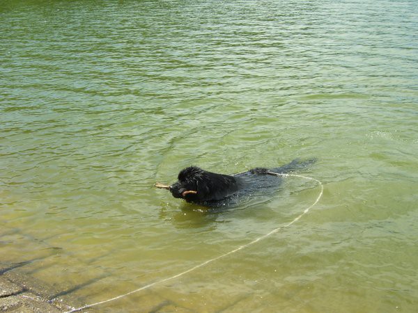 06.07.2007
se vračam na obalo