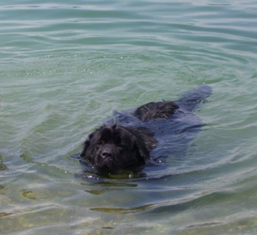 08.07.2007
Velenjsko jezero