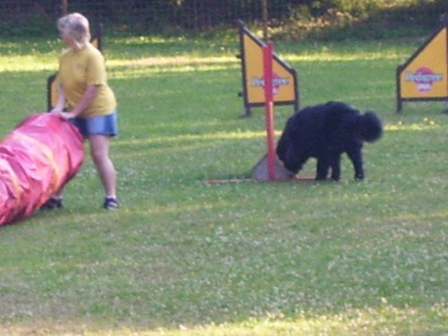 21.07.2007
trening