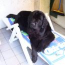 22.07.2007
kaj pa ležanje???