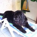 22.07.2007
takole je še najbolje!!!!