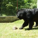22.07.2007
no zdej je pa že bolje