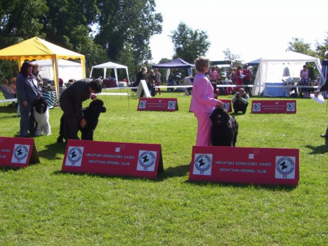 22.09.2007
CACIB VARAŽDIN
dobimo R.CACIB 