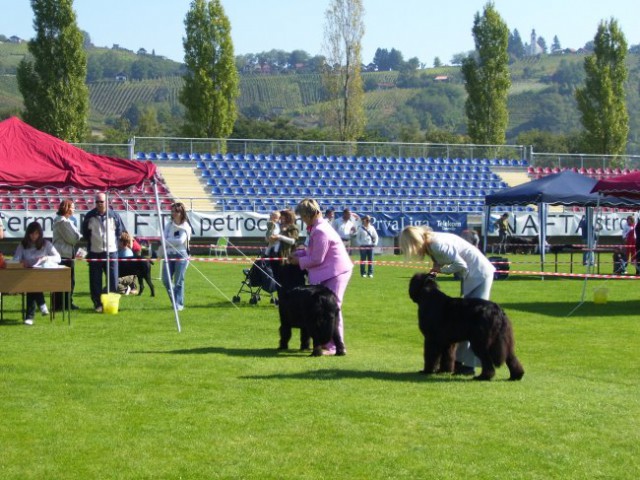 23.09.2007
CACIB LENDAVA
slovenka in madžarka