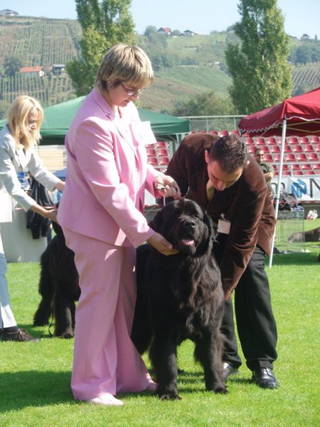 23.09.2007 CACIB LENDAVA
joj, saj me bo čist pregledal