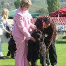 23.09.2007 CACIB LENDAVA
joj, saj me bo čist pregledal
